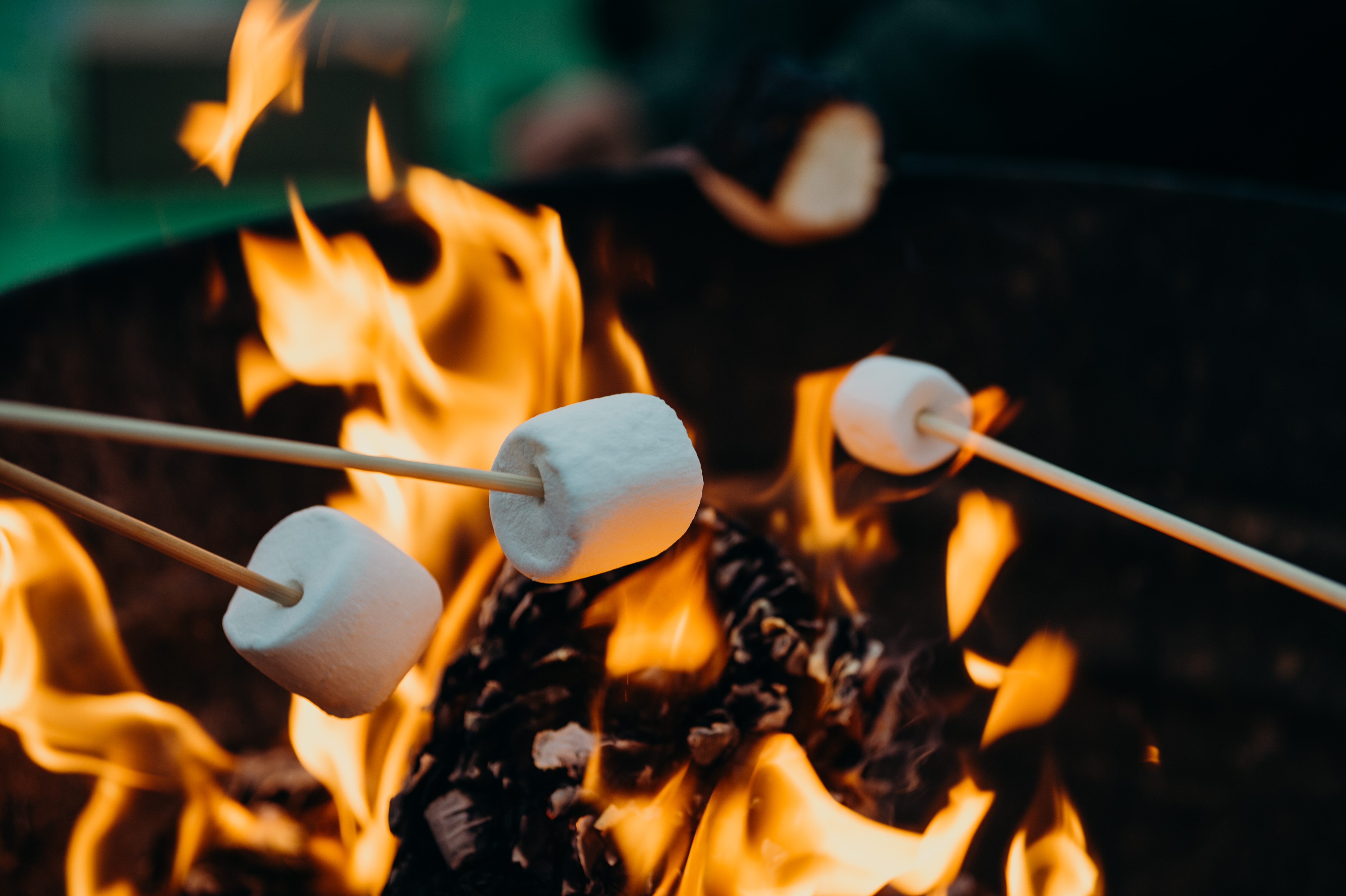 Bonfire with marshmallows