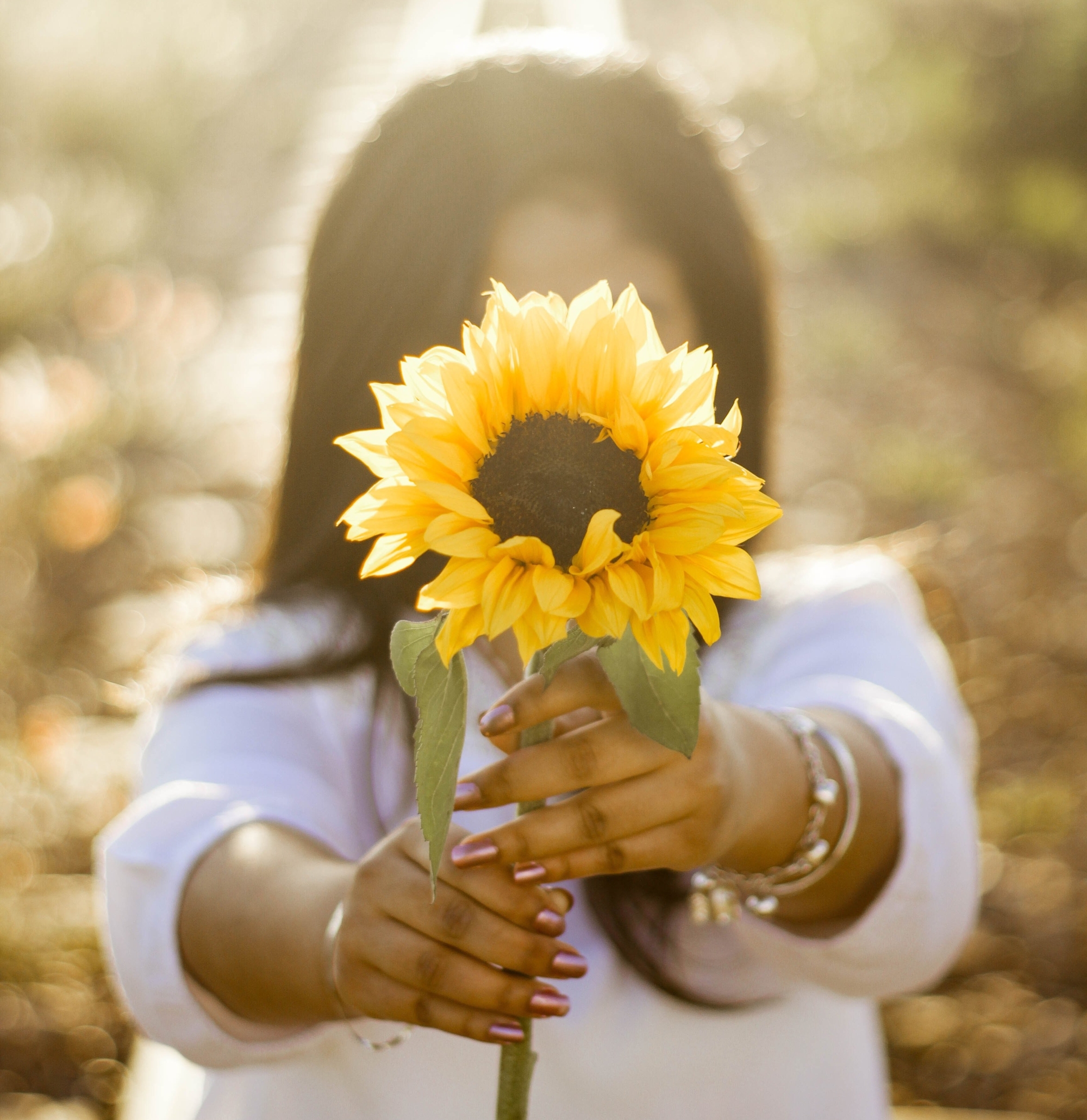 woman offering a sunflower